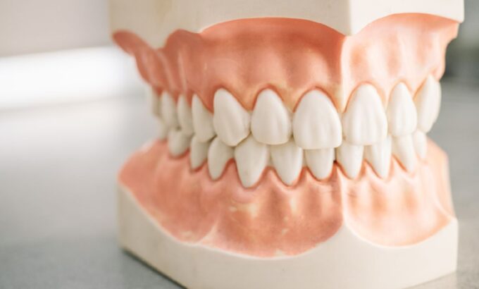 mould-of-human-teeth-2024-12-01-16-51-03-utc